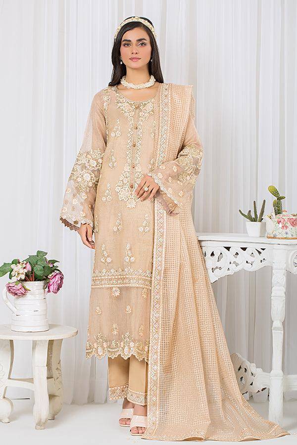 Pakistani Clothes for Women - Stylish and Elegant