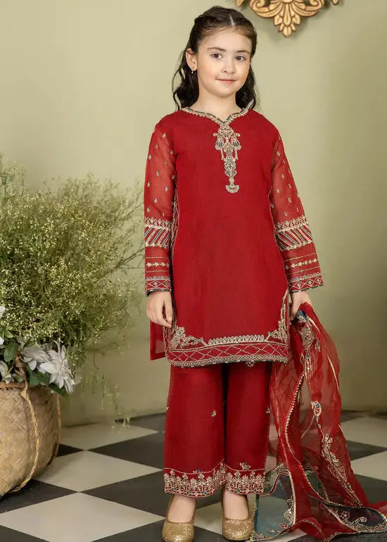 Pakistani childrens designer clothes hot sale