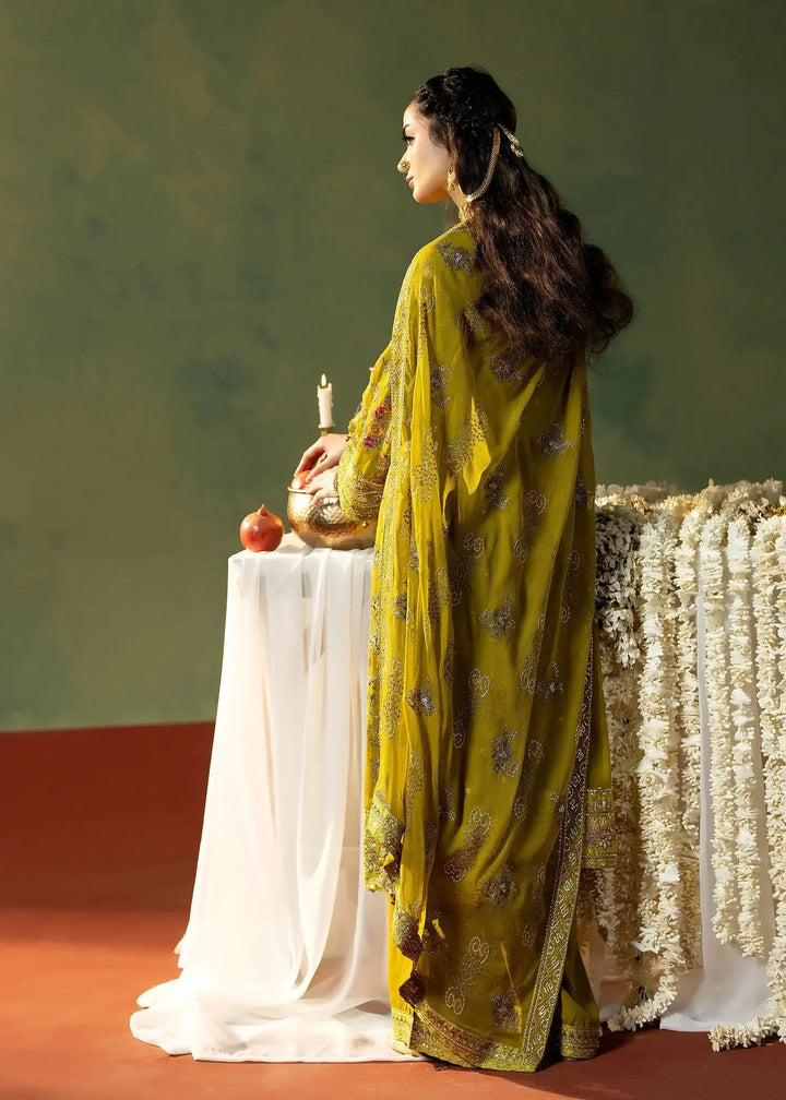 Back view of RANGREZA OLIVE | M-908-13 showcasing embroidered chiffon dupatta with detailed borders and PK raw silk trouser in olive green.