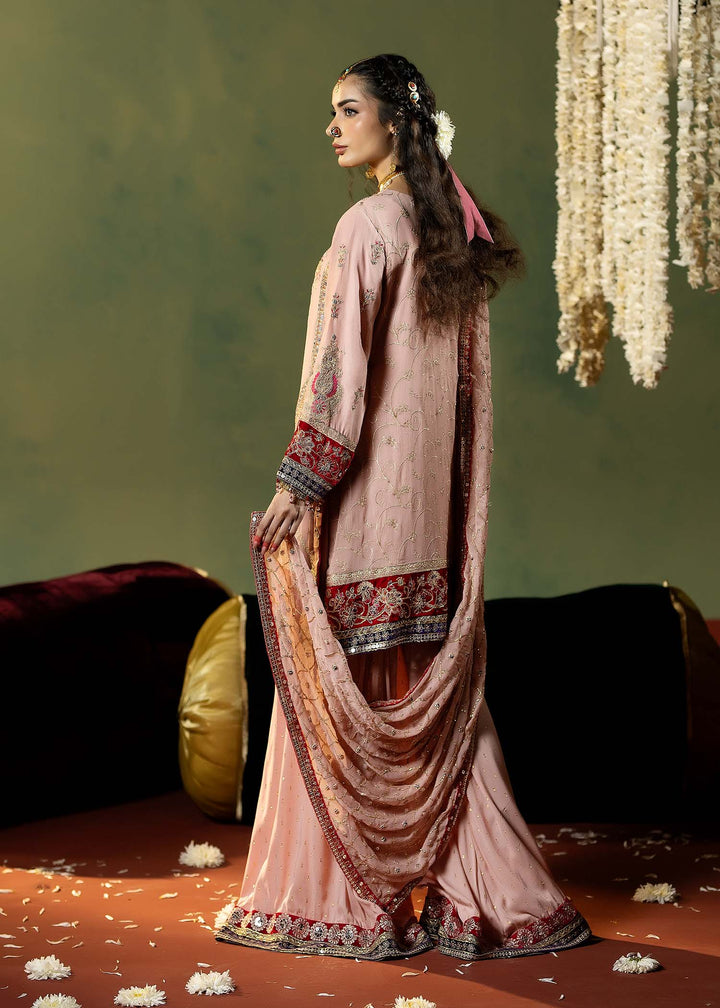 Back view of RANGREZA PINK chiffon shirt and dupatta outfit showcasing intricate embroidery and traditional pak fashion elegance.