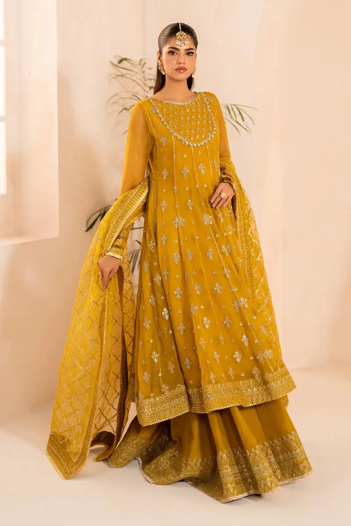 Full front view of Baroque embroidered chiffon outfit with flared silhouette and detailed embellishments for luxury ethnic wear.