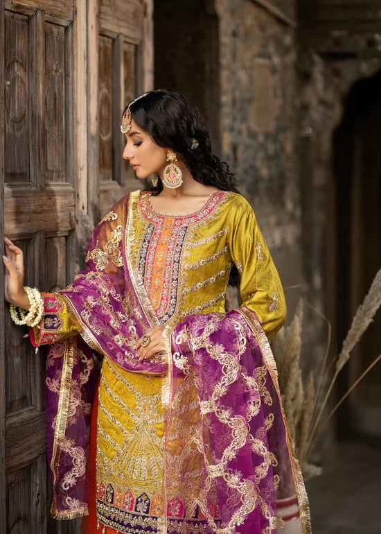 Indian Sharara Dress for Girls