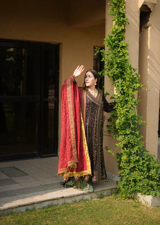 Rr-3860-17 Pakistani Anarkali Dress
