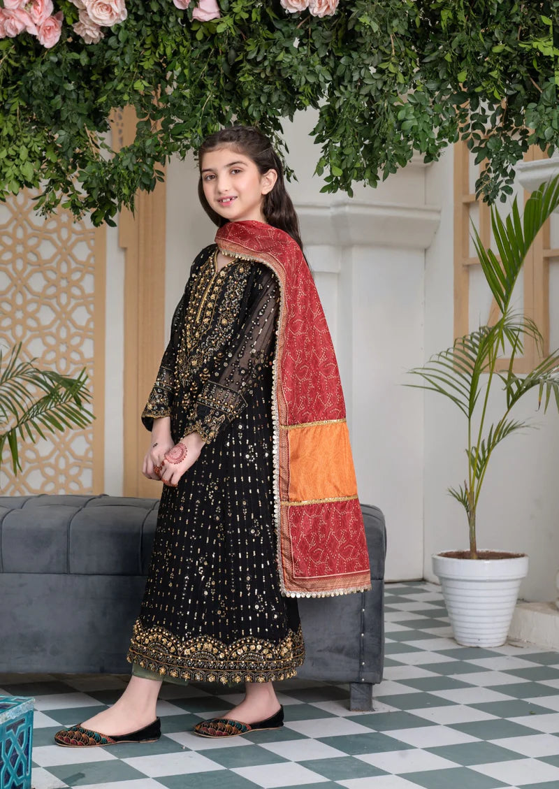 RANGREZA Pakistani Girls Long Designer Outfit | RR-3864-06
