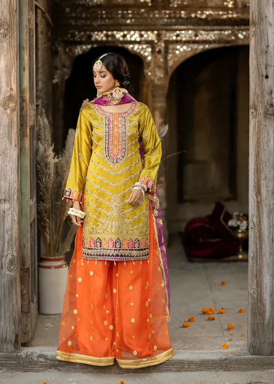 Pakistani Sharara Outfit for Girls