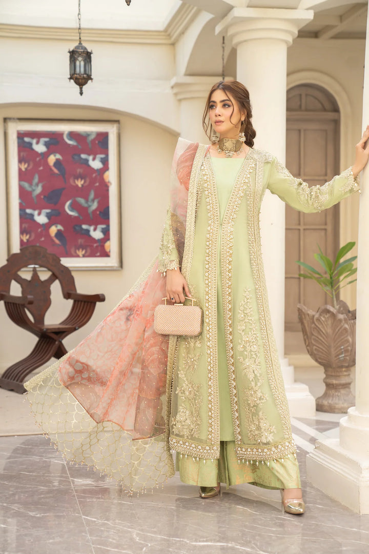 Rangreza Pakistani Ready To Wear | RR-3639-19 - view 2
