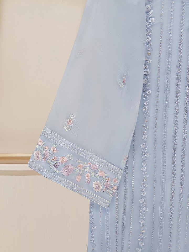 Sleeve embroidery detail on chiffon suit