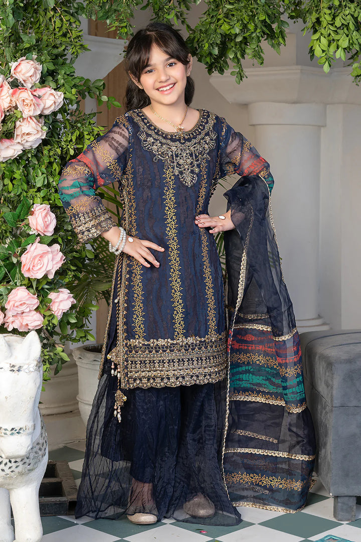 Rr-3828-55 Traditional Clothing Pakistan