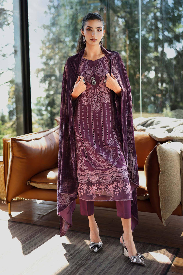 3 Piece Embroidered Linen Suit | DW-W25-24