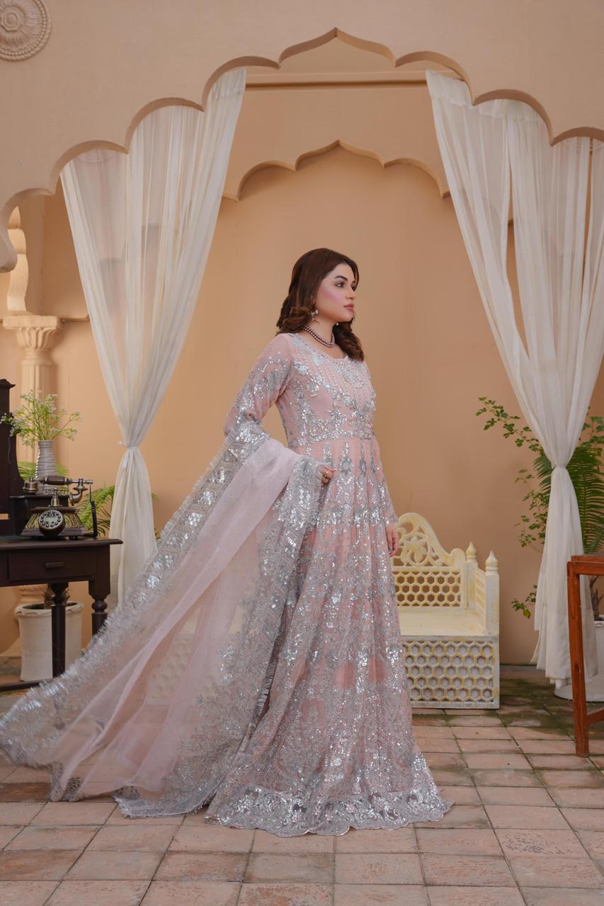 Elegant Pakistani wedding dress with silver embroidery