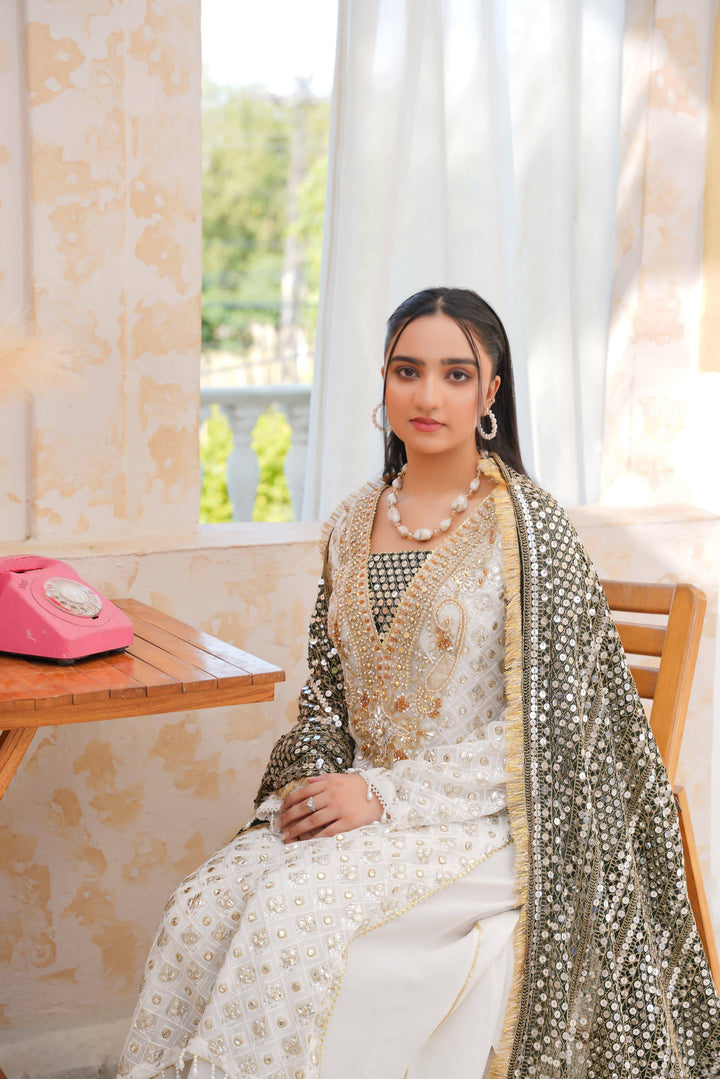 Elegant RANGREZA SAJNI festive contemporary dress with intricate embroidery and mirrorwork dupatta, perfect for Pakistani party wear.