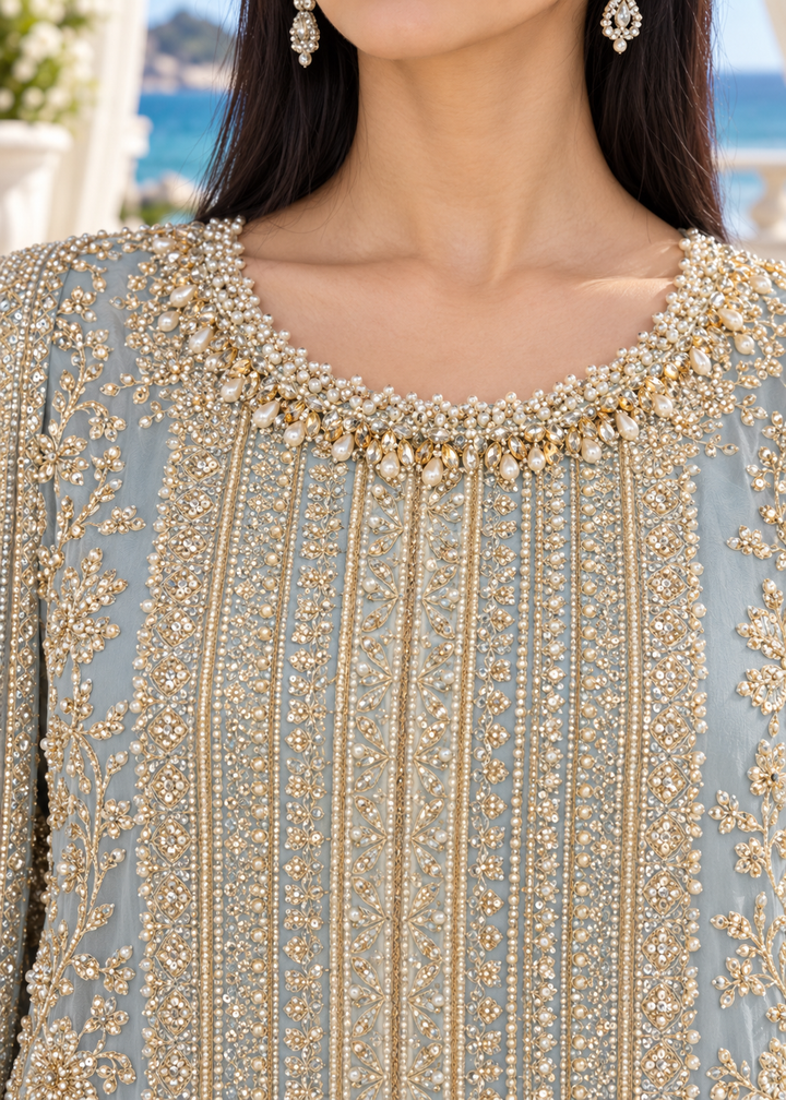 SKY BLUE 3 Piece Embroidered Organza Suit | AL-3881-16