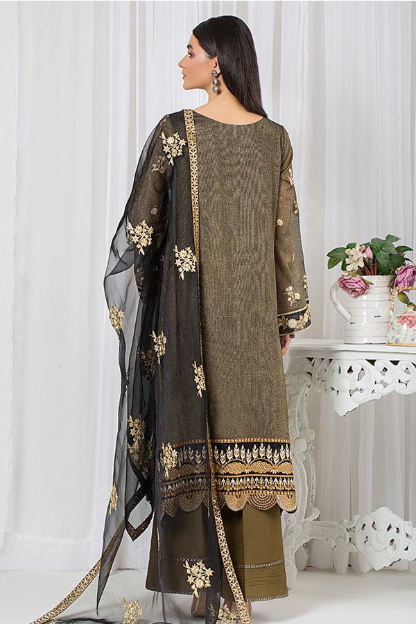 Pakistani Traditional Clothes