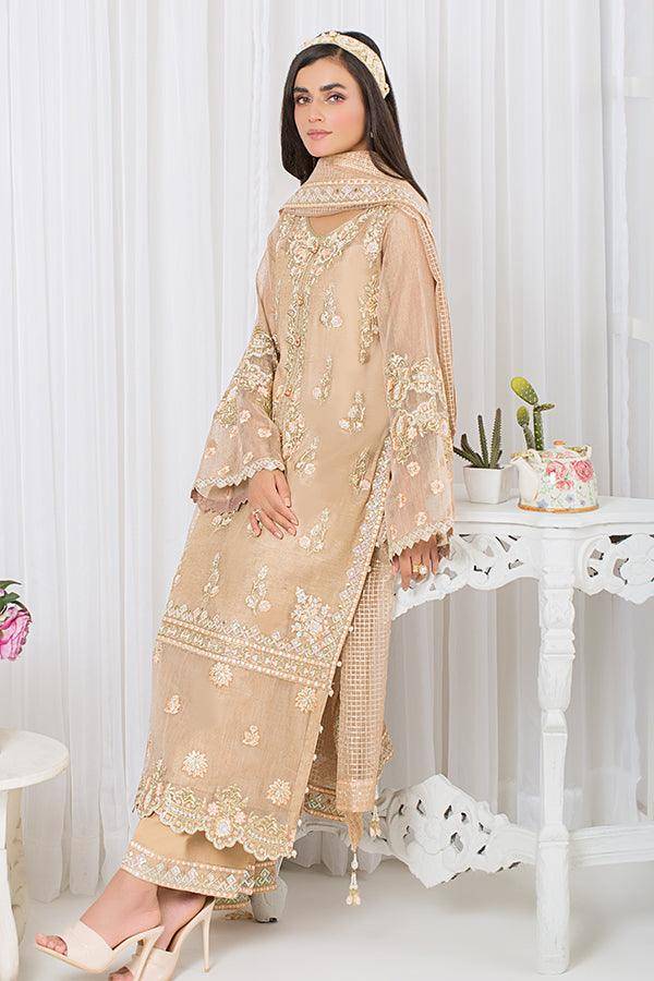 Pakistani Clothes for Women - Stylish and Elegant