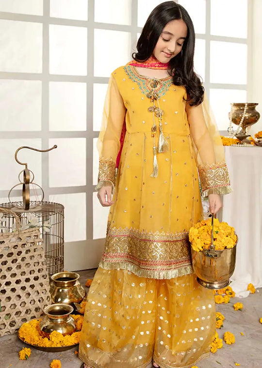 RR-5059 Ashna Formal Pret Rangreza