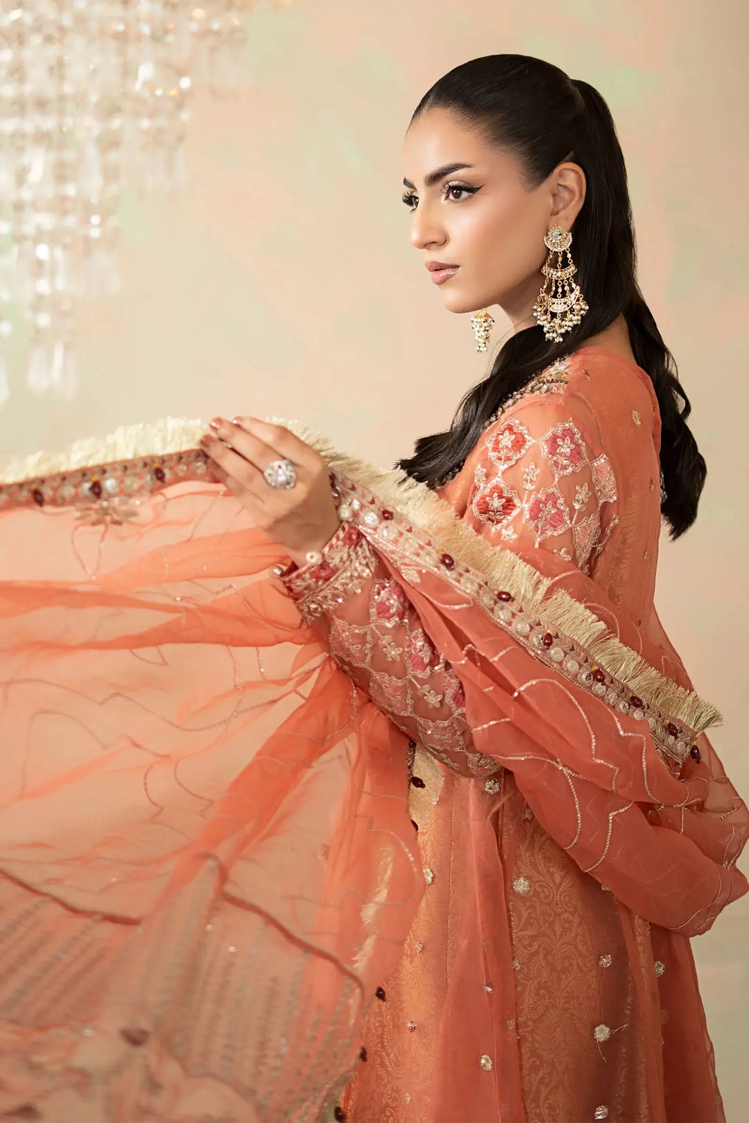 3 Piece Embroidered Organza Suit | SF-W24-09