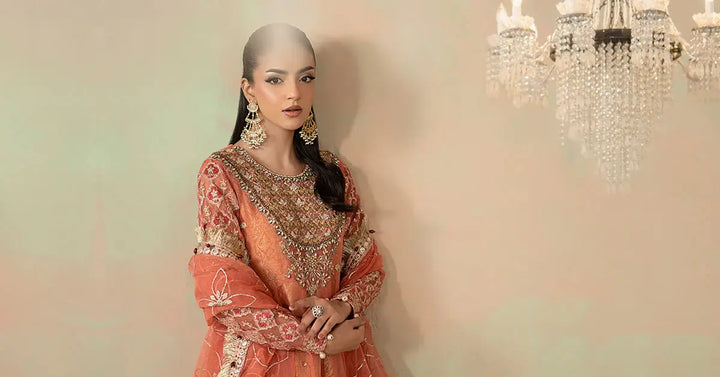 3 Piece Embroidered Organza Suit | SF-W24-09