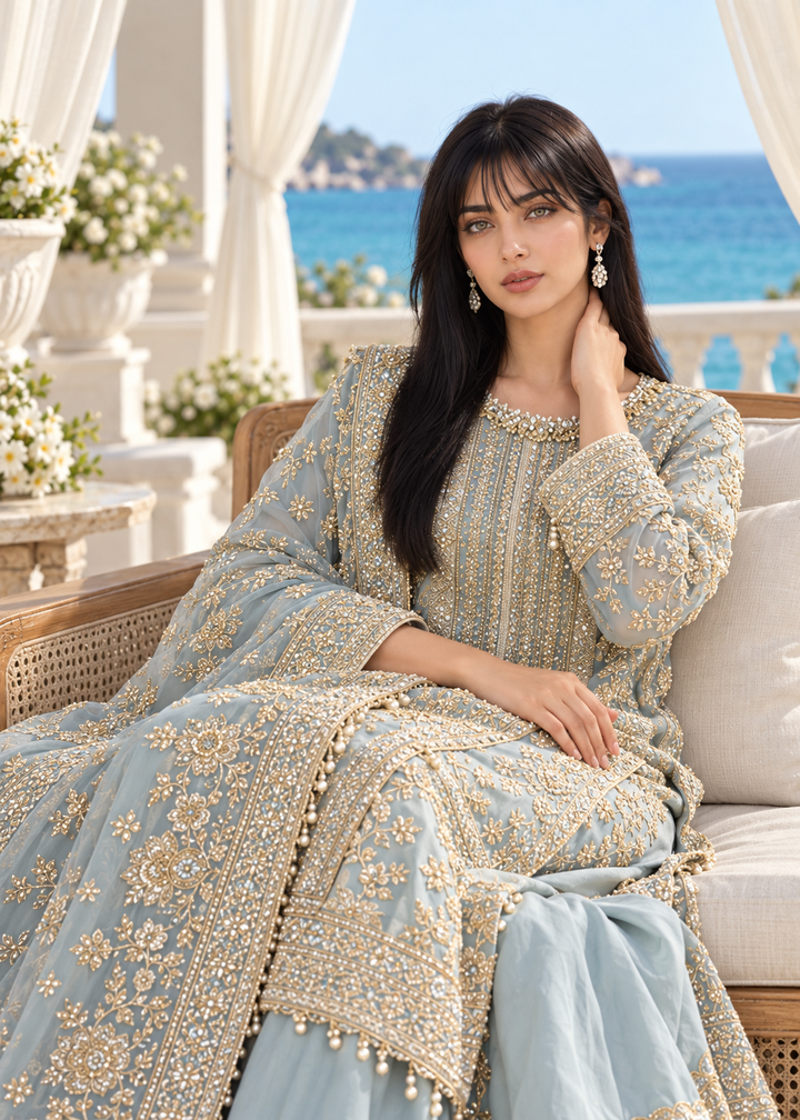 SKY BLUE 3 Piece Embroidered Organza Suit | AL-3881-16