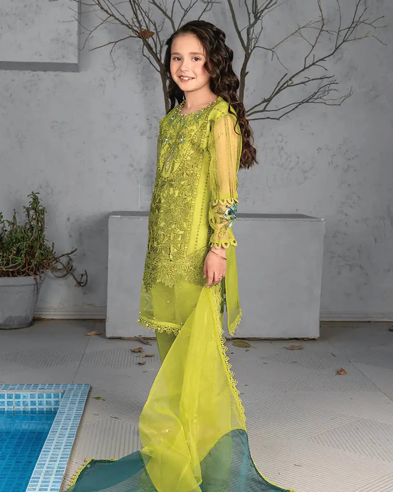 Rangreza RR-4043 - Green Dress for Girls