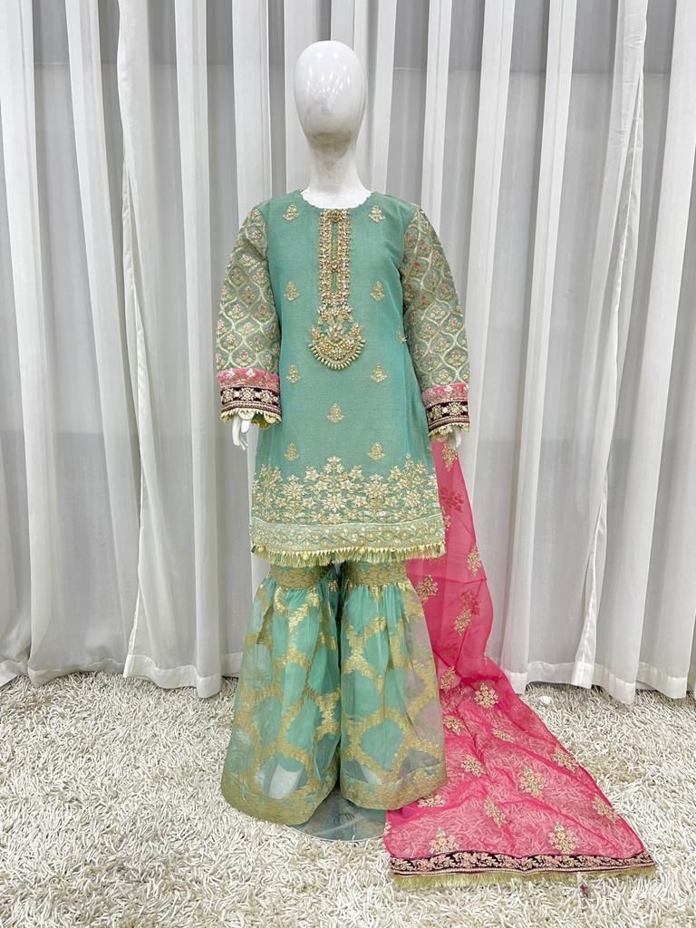 Rr-3325-07 Girls Pakistani Dresses
