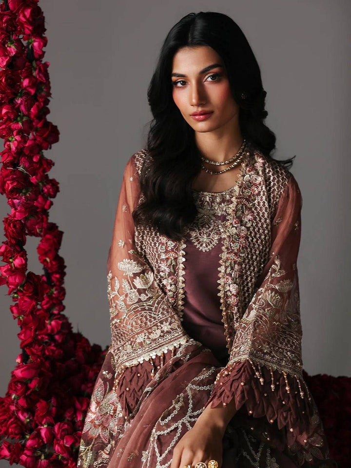 Elegant embroidered brown traditional dress with intricate silver embellishments and fringed sleeves