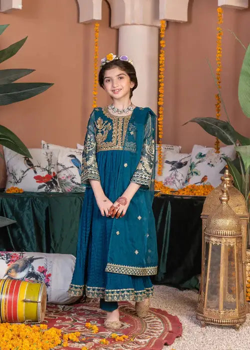 Rangreza party wear dress for girls in blue with embroidered chiffon shirt, organza dupatta, and viscose pants, perfect for festive occasions.
