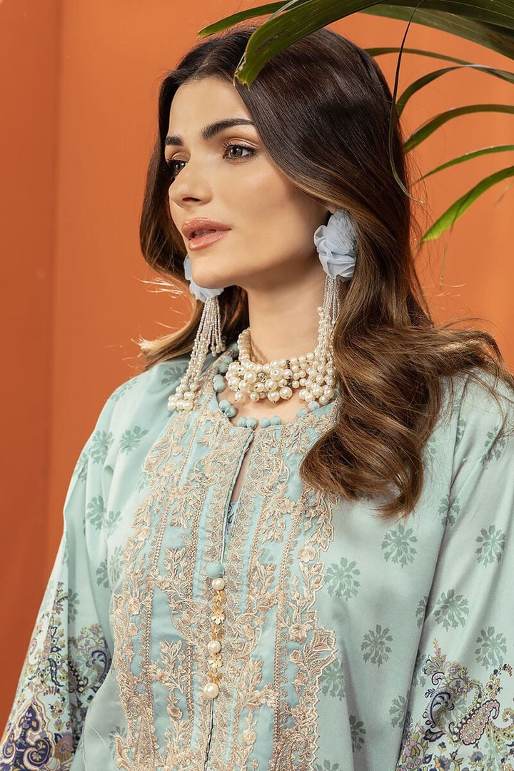 pakistani outfits usa a woman in a blue dress with a plant in the background
