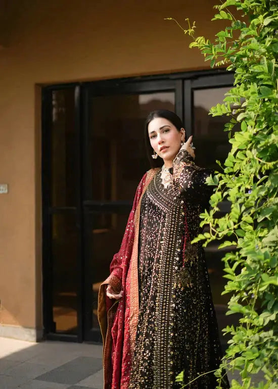 RANGREZA RANGREZA Pakistani Anarkali Dress