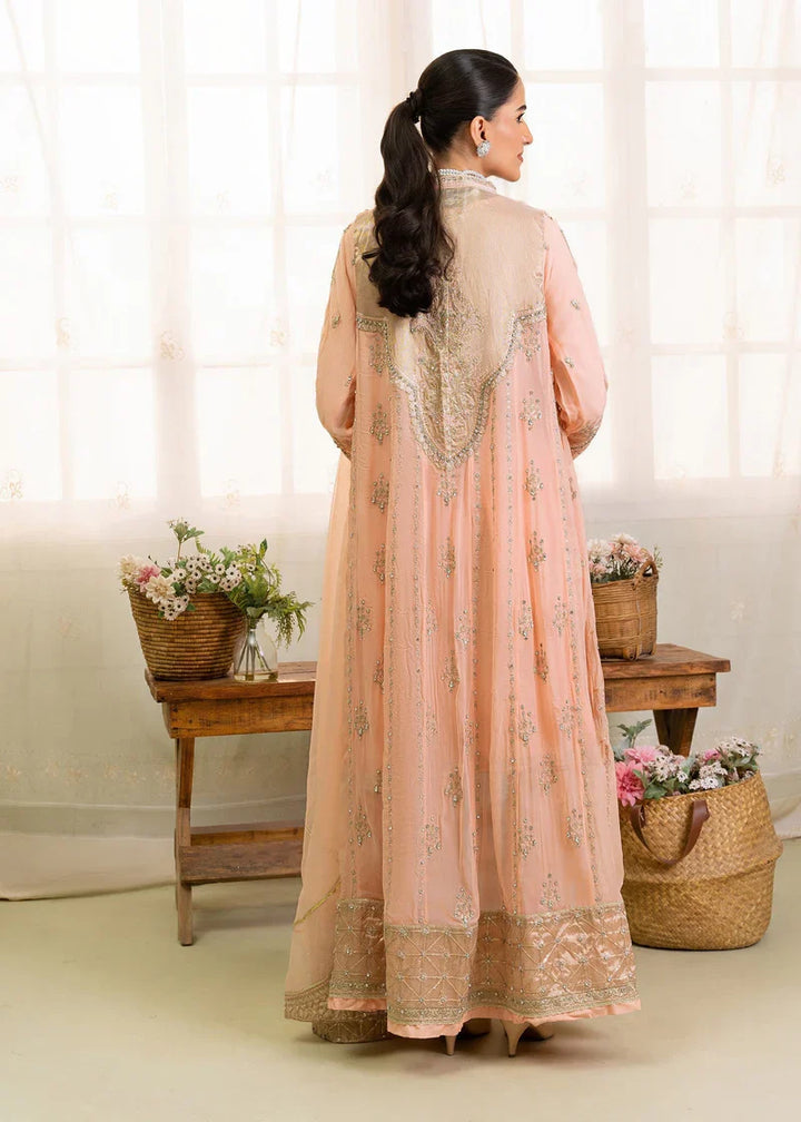 Back view of peach Pakistan gown dress woman with intricate embroidery and flowing silhouette, ideal for elegant occasions.