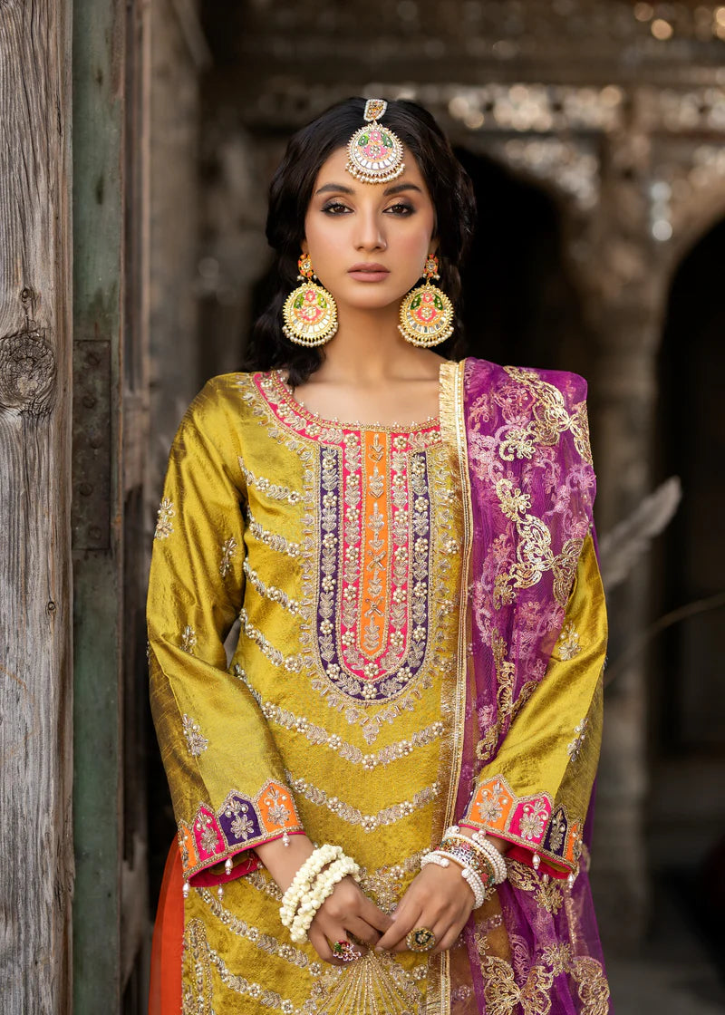 Pakistani Sharara Suit for Girls