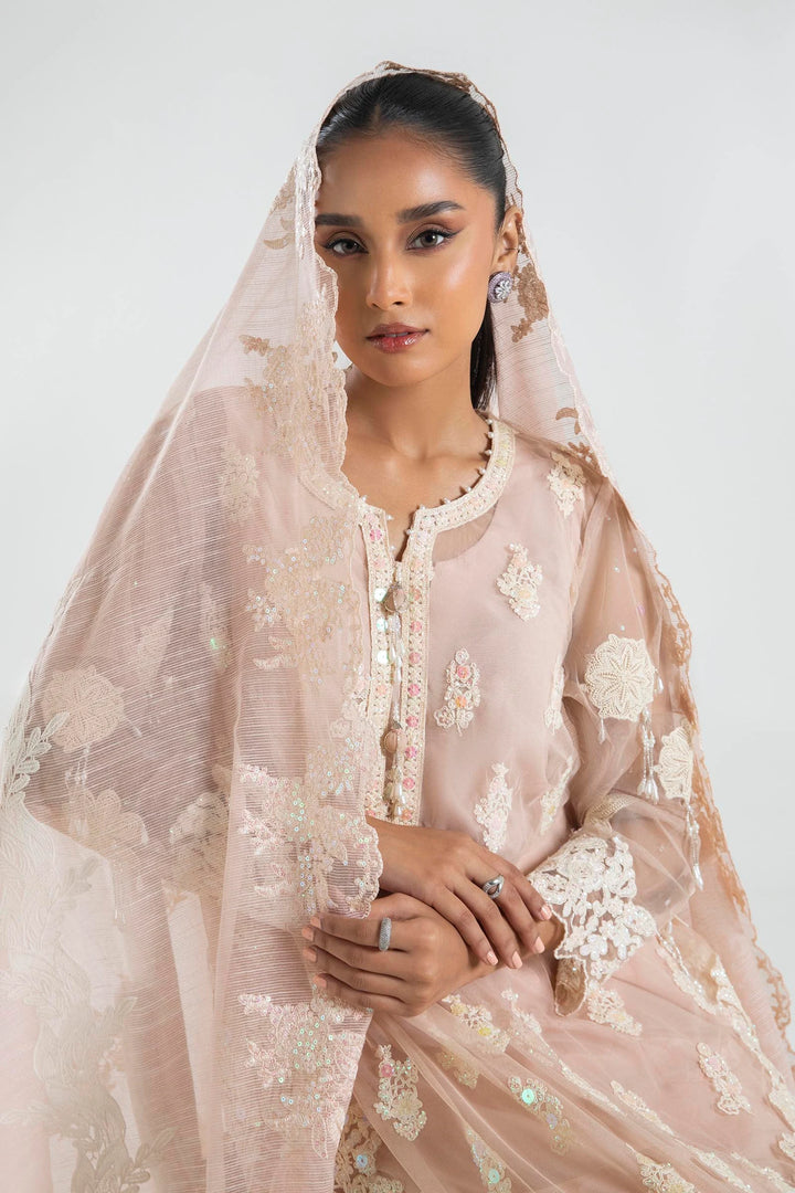 SANA SAFINA PAKISTANI WEDDING NET DRESS | SS24EXE111P3-51