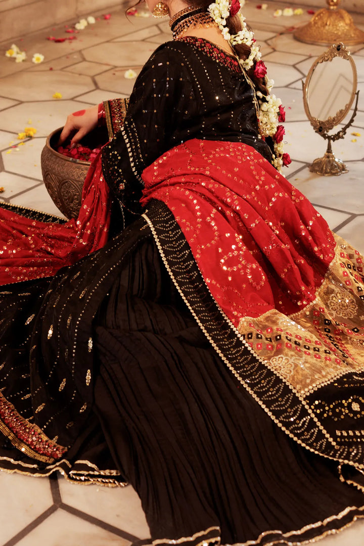 Rafia WOMEN'S PRET Soft Organza | MI-004-34