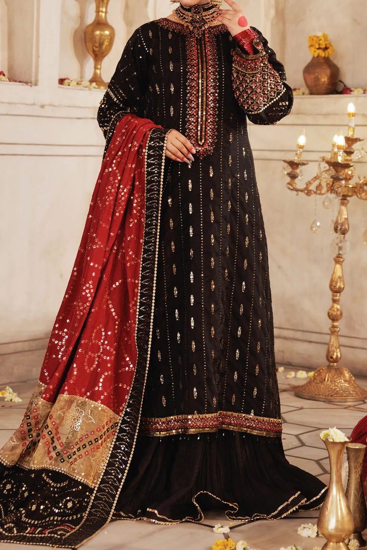 Rafia WOMEN'S PRET Soft Organza | MI-004-34