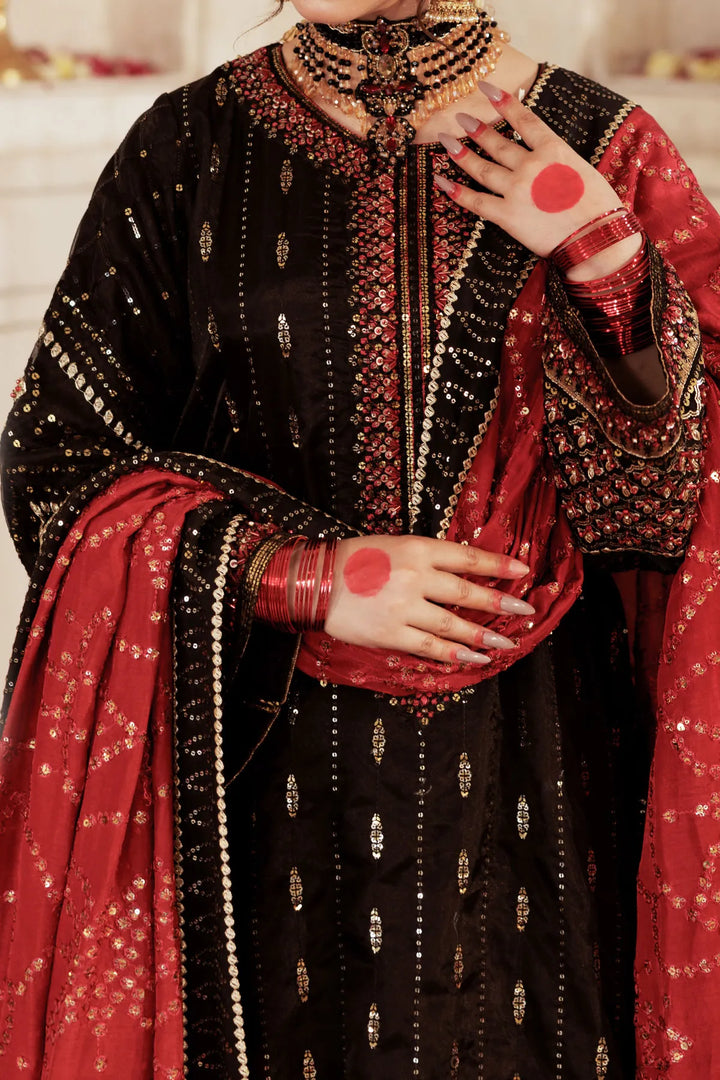 Rafia WOMEN'S PRET Soft Organza | MI-004-34