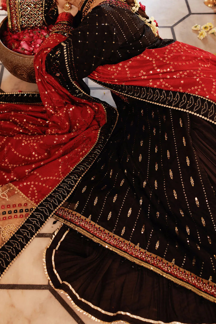 Rafia WOMEN'S PRET Soft Organza | MI-004-34