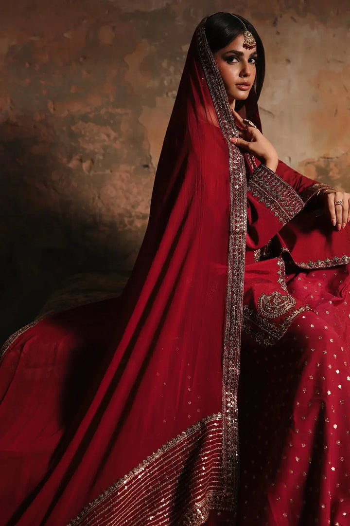 Model in red embroidered traditional dress with detailed border and matching accessories