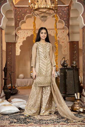 Girls Dresses Pakistani Party Wear Pakistani Wedding Dresses For