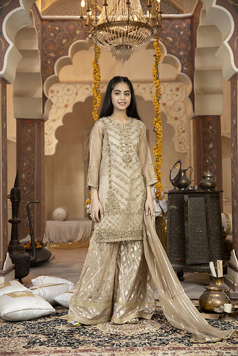 RANGREZA Pakistani Girls Lehenga Suit | RR-3302-06